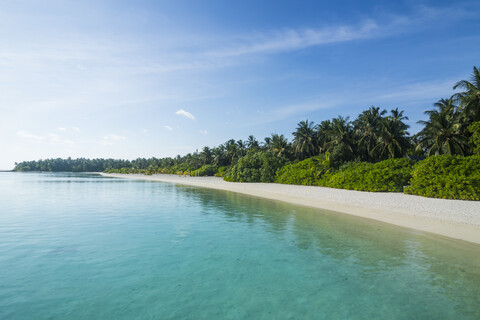 Malediven, Ari Atoll, Nalaguraidhoo, Sonneninsel, Vegetation und leerer Strand, lizenzfreies Stockfoto