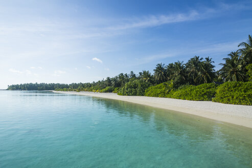 Malediven, Ari Atoll, Nalaguraidhoo, Sonneninsel, Vegetation und leerer Strand - RUNF00724