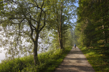 Deutschland, Bayern, Werdenfelser Land, Wanderin auf Waldweg - SIEF08258