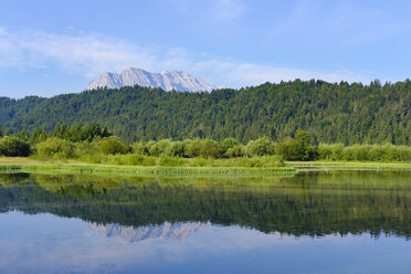 Deutschland, Bayern, Werdenfelser Land, Isarstausee Krün, Wettersteingebirge, im Hintergrund die Obere Wettersteinspitze - SIEF08264