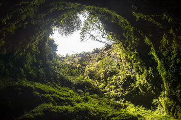 Portugal, Azoren, Insel Terceira, Algar do Carvao - RUNF00795