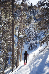 Woman snowshoeing in forest - AURF08152