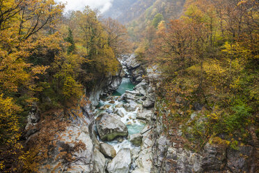 Verzasca Fluss von der Ponte di Corippo Brücke im Herbst, Kanton Tessin, Schweiz - AURF08164