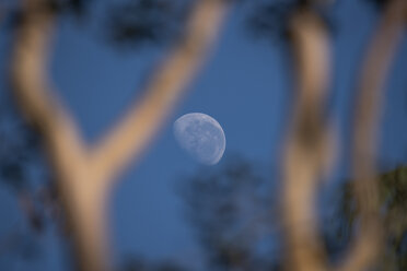View of moon against blue sky, Serra da Mantiqueira, Rio de Janeiro, Brazil - AURF08173