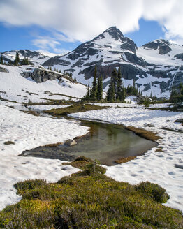 Bach bei Locomotive Mountain, Pemberton, British Columbia, Kanada - AURF08198