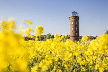 Germany, Ruegen, Cape Arkona, Positioning Tower, Peilturm and rape field - MAMF00257