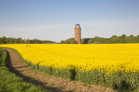 Deutschland, Rügen, Kap Arkona, Ortungsturm, Peilturm und Rapsfeld, lizenzfreies Stockfoto