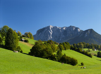 Österreich, Salzkammergut, Ausseerland, Trisselwand - WWF04608