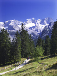 Österreich, Salzkammergut, Gosau, Zwieselalm, Dachstein - WWF04623