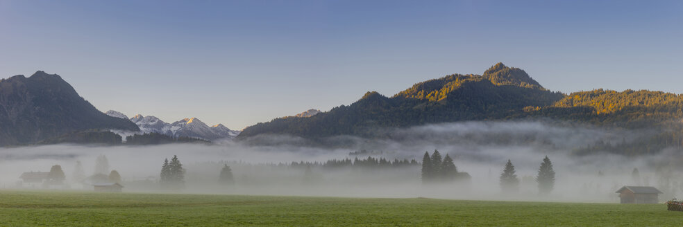 Deutschland, Bayern, Oberallgäu, Loretto-Wiesen bei Oberstdorf mit Morgennebel und Bergen im Hintergrund - WGF01286