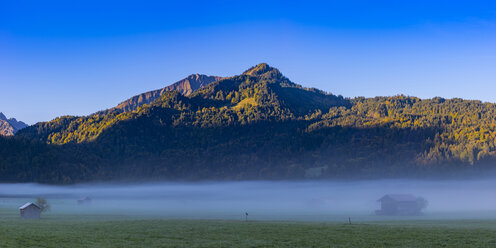 Germany, Bavaria, Upper Allgaeu, Loretto meadows near Oberstdorf with morning fog and mountains in background - WGF01287