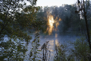 Deutschland, Oberbayern, Oberhummel, Naturschutzgebiet Isarauen, Fluss Isar bei Sonnenaufgang - SIEF08277