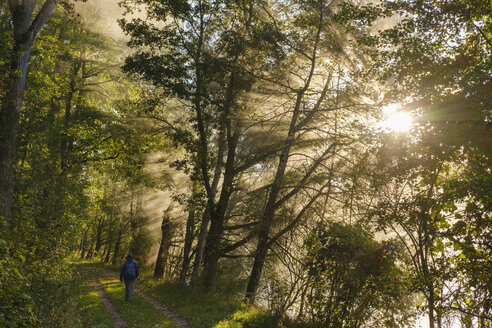 Germany, Upper Bavaria, Niederhummel, Nature Reserve Isarauen, female hiker at sunrise - SIEF08278