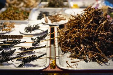 Thailand, Bangkok, Insekten zum Verkauf auf einem Markt - MAUF02209