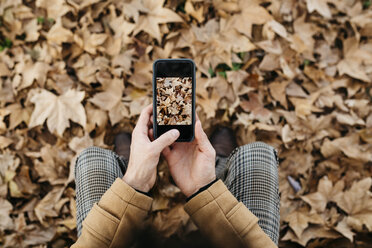 Nahaufnahme eines Mannes, der mit seinem Handy ein Foto von Herbstblättern macht - JRFF02299