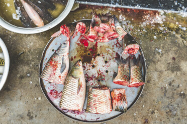 Vietnam, Hanoi, fish on sale at local market in the old town - WPEF01279