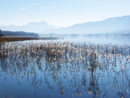 Österreich, Salzkammergut, Irrsee - WWF04681