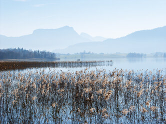 Austria, Salzkammergut, Irrsee - WWF04682