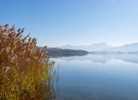 Österreich, Salzkammergut, Irrsee - WWF04683