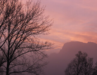 Österreich, Salzkammergut, Mondsee, Drachenwand, Herbstmorgen - WWF04684