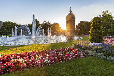 Deutschland, Mannheim, Friedrichsplatz mit Springbrunnen und Wasserturm im Hintergrund bei Sonnenuntergang - WDF05011