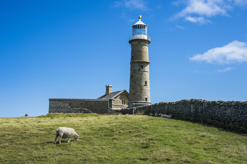 Vereinigtes Königreich, England, Devon, Island of Lundy, Leuchtturm - RUNF00824