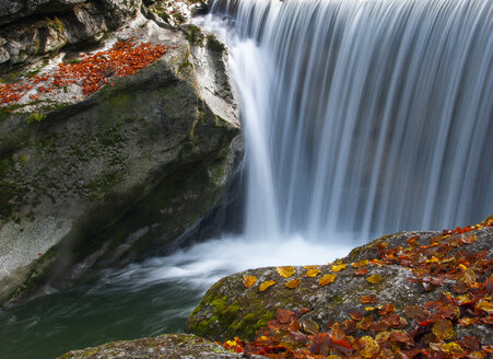 Österreich, Tirol, Wildbach, Wasserfall im Herbst - WWF04718