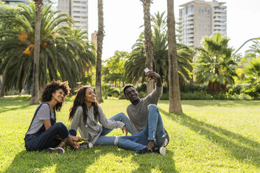 Freunde sitzen im Gras, haben Spaß, benutzen ihr Smartphone - GIOF05407