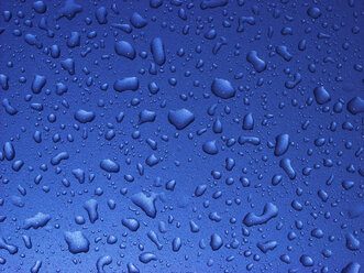 Raindrops on windowpane - WWF04742