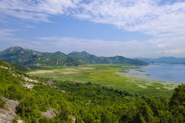 Montenegro, Skadar-See bei Virpazar - SIEF08295