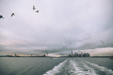 USA, New York, Panorama of Manhattan skyline, birds fly - OCMF00193