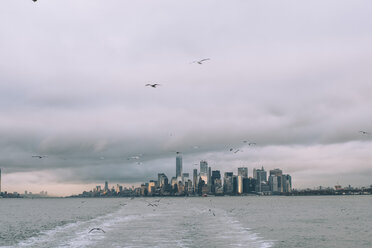 USA, New York, Panorama of Manhattan skyline, birds fly - OCMF00194