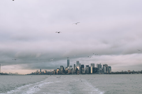 USA, New York, Panorama der Skyline von Manhattan, Vögel fliegen - OCMF00194