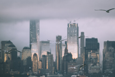 USA, New York, Panorama of Manhattan skyline, birds fly - OCMF00195