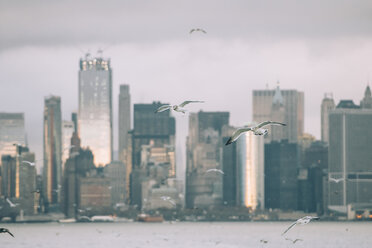 USA, New York, Panorama of Manhattan skyline, birds fly - OCMF00197