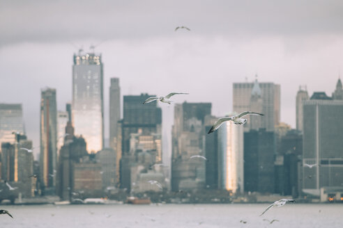 USA, New York, Panorama der Skyline von Manhattan, Vögel fliegen - OCMF00197