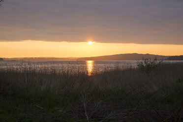 Germany, Ruegen, Baltic Sea coast at sunset - MAMF00306