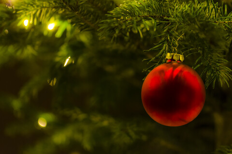 Red Christmas bauble hanging at fir branch stock photo