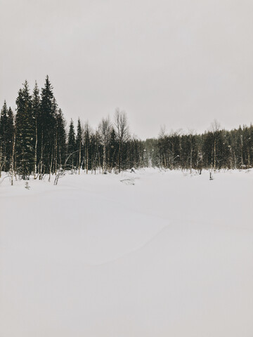 Finnland, Lappland, starker Schneefall und Bäume, lizenzfreies Stockfoto