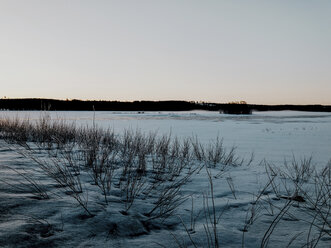 Sweden, Lulea, Daybreak in Lapland With Fog Over Frozen Lake - JUBF00299