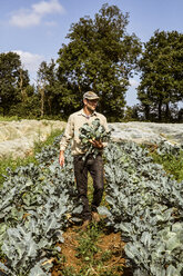 Smiling farmer walking in a field, carrying freshly harvested broccoli. - MINF09851