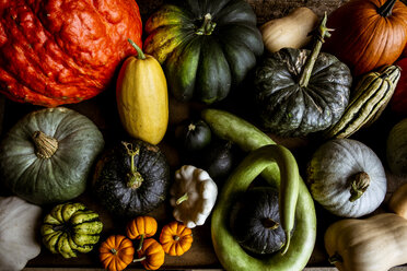 High angle close up of a selection of pumpkins and squash. - MINF09863