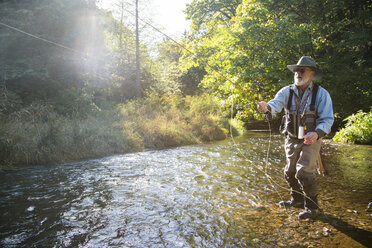 A fly fisherman casting for trout in a small freestone river in northeastern USA. - MINF09888