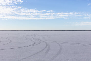 Tire tracks on Salt Flats at dawn - MINF09991