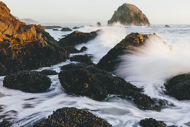 Mit Muscheln bedeckte Felsen im Vordergrund mit krachenden Wellen entlang der Küstenlinie in der Abenddämmerung, McClures Beach, Point Reyes National Seashore, Kalifornien, USA. - MINF10031