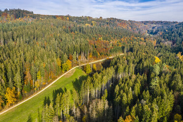 Deutschland, Baden-Württemberg, Schwäbisch-Fränkischer Wald, Luftaufnahme eines Waldes im Herbst - STSF01819