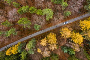 Deutschland, Baden-Württemberg, Schwäbisch-Fränkischer Wald, Luftaufnahme eines Waldes im Herbst, Waldweg - STSF01821