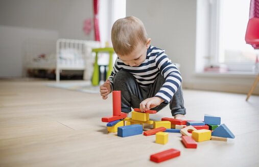 Kleiner Junge spielt zu Hause mit Bauklötzen - HAPF02825