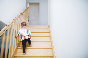 Toddler boy walking up stairs at home - HAPF02834