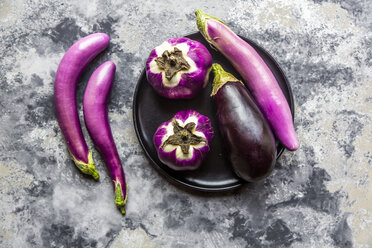 Various sorts of aubergines - SARF04043